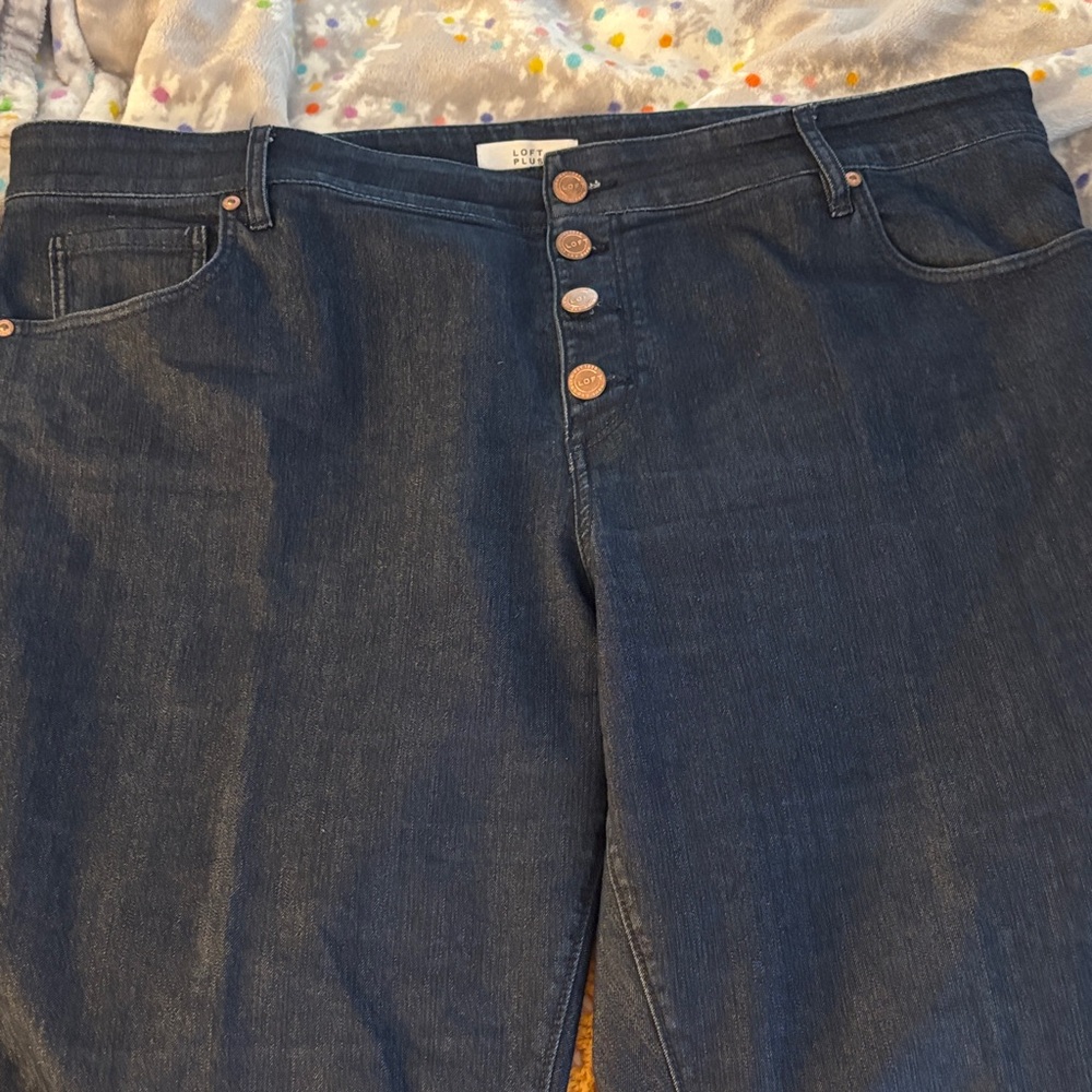 Dark Blue Ladies Plus Jeans